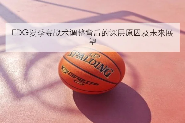 EDG夏季赛战术调整背后的深层原因及未来展望